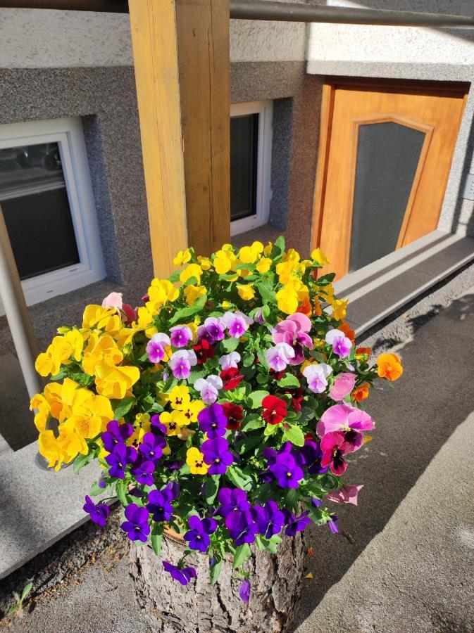 Pension Alpina Neustift Neustift im Stubaital Esterno foto