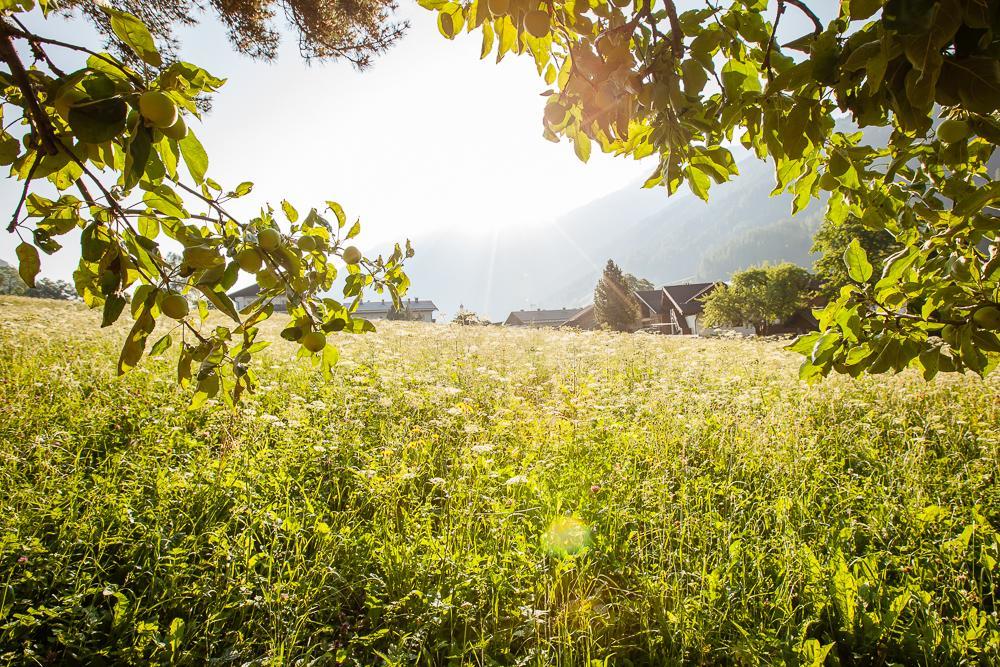 Pension Alpina Neustift Neustift im Stubaital Esterno foto